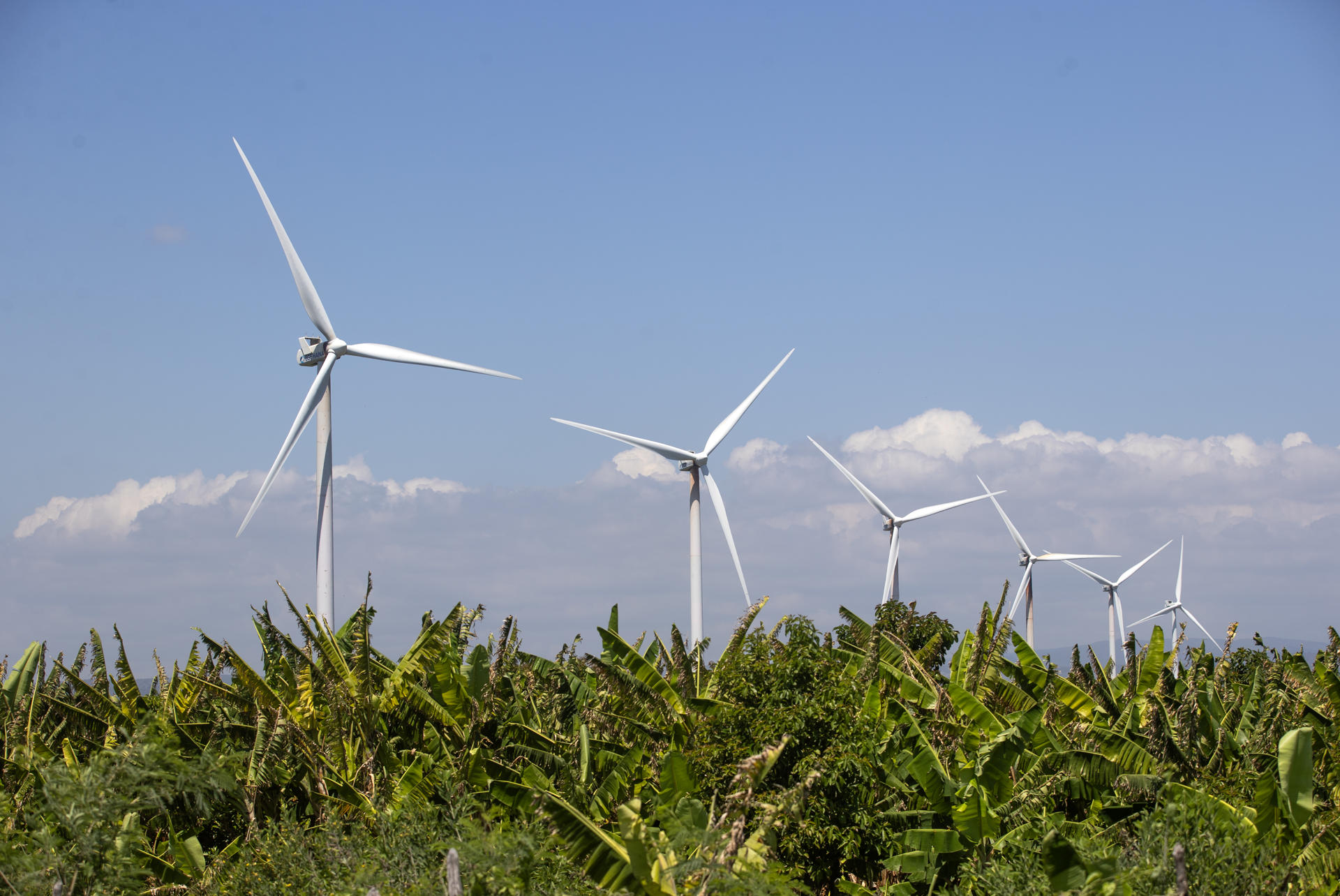 Fotografía de archivo que muestra turbinas de energía eólica, una de las formas de producción de energía limpia que usa Canadá. EFE/ Orlando Barría