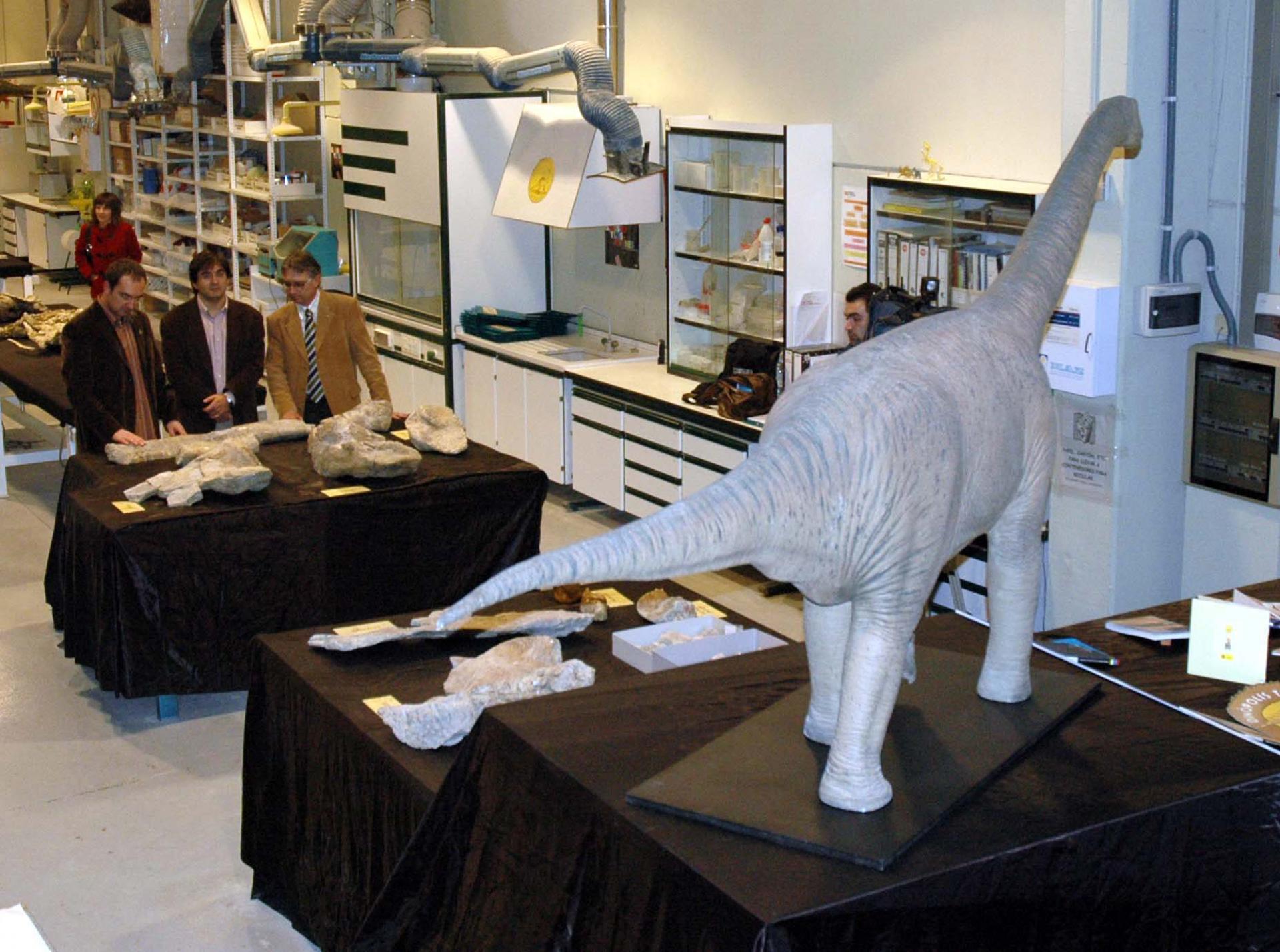 En la imagen de archivo, una reconstrucción del sauropodo Turiasaurus riodevensis encontrado en el yacimiento Barriohonda-El Húmero en Riodeva (Teruel, España). EFE/Francisco Moreno